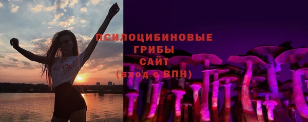 прущая мука Армянск
