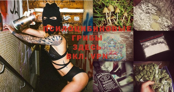 прущая мука Армянск